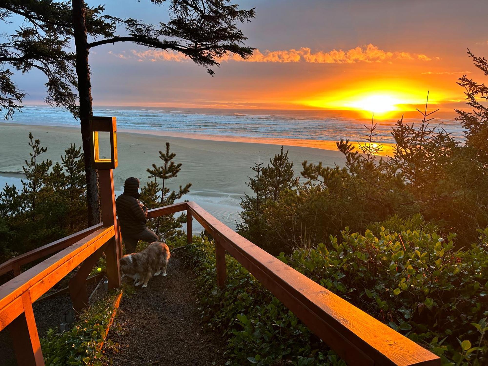 Starfish Point Apart otel Newport Kulesi Dış mekan fotoğraf