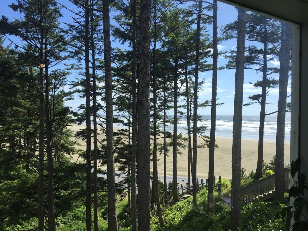 Starfish Point Apart otel Newport Kulesi Dış mekan fotoğraf